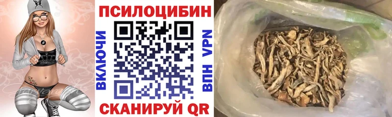 Купить где  Кушва  Псилоцибиновые грибы Psilocybine cubensis 